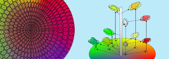 Color-Gloss-Web-570x200-RGB.jpg