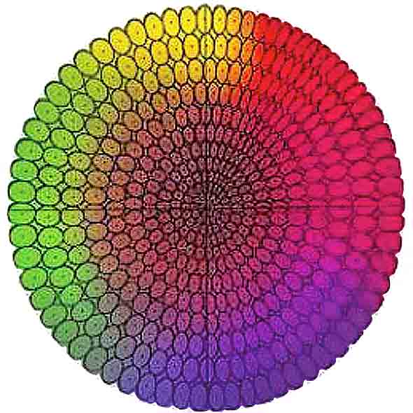 Plastic-CIElab590x590.jpg